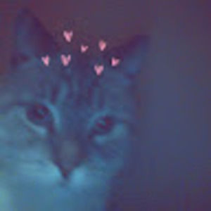 Meet your Posher, Ashlynn